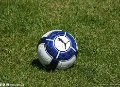 Sports,真人,资讯,DG真人视讯,DG真人,(Sports),DG视讯官网,DG真人官方平台