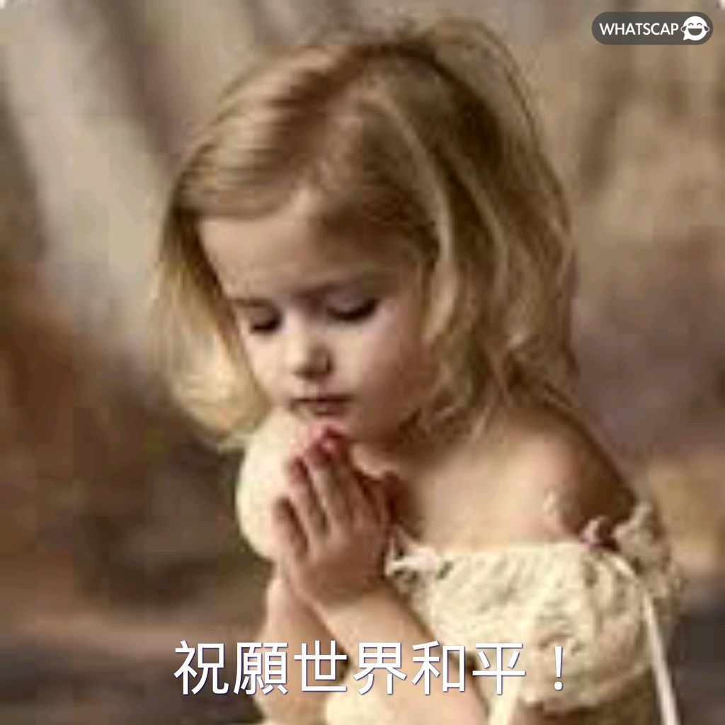 山东挑战不,败神话,能否继续辉,DG真人视讯,DG真人,(Sports),DG视讯官网,DG真人官方平台