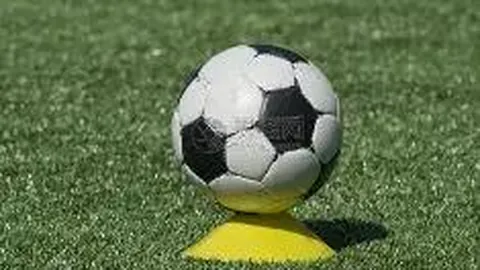 DG真人 (Sports) 产品 091143 bqx