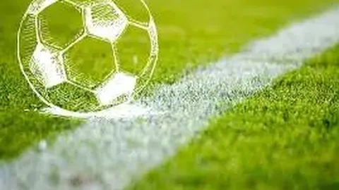 DG真人 (Sports) 产品 084125 wbf