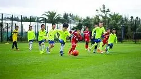 重金属检测覆盖哪些项目及检测种类？